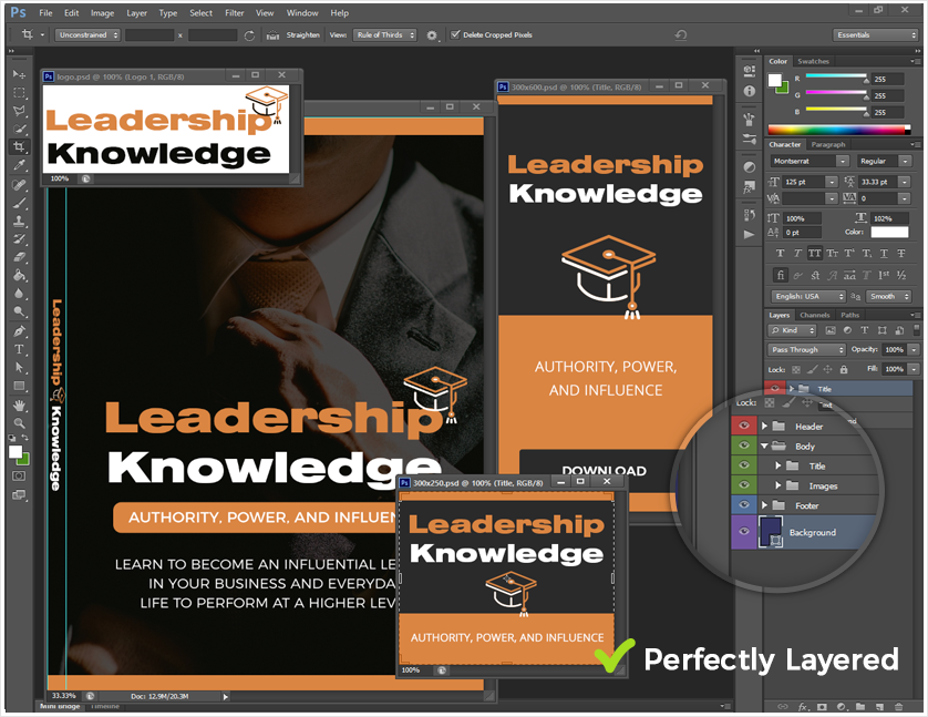 Leadership Influence Source Graphic Files